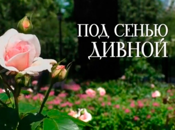 Под-сенью-Дивной