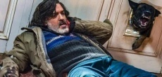  про бешенство