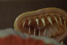 Фильмы про презервативы