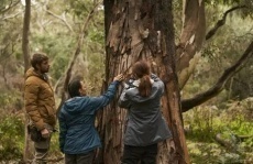 фильмы про вымирающие виды