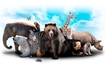 Подсказки-из-зоопарка-32-серия