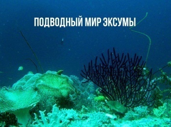 программа Русский Экстрим: Подводный мир Эксумы 2 серия