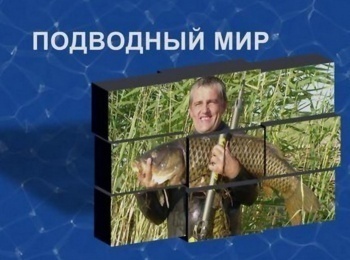 Подводный-мир-В-поисках-хариуса