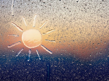 программа 360 Подмосковье: Погода 360 Новогодний выпуск