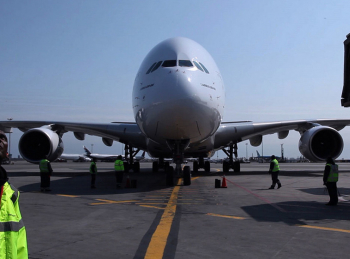 программа National Geographic: Поймать контрабандиста: Аэропорт Кеннеди Хвостатые "ревизорро"