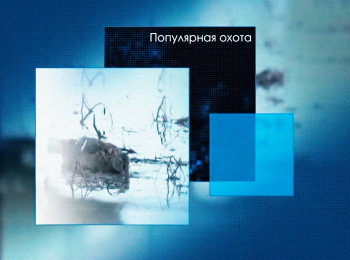 программа Охота: Популярная охота Охота на вальдшнепа в Новгородской области