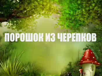 Порошок-из-черепков