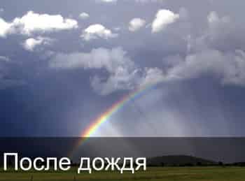 программа ТВ 1000: После дождя