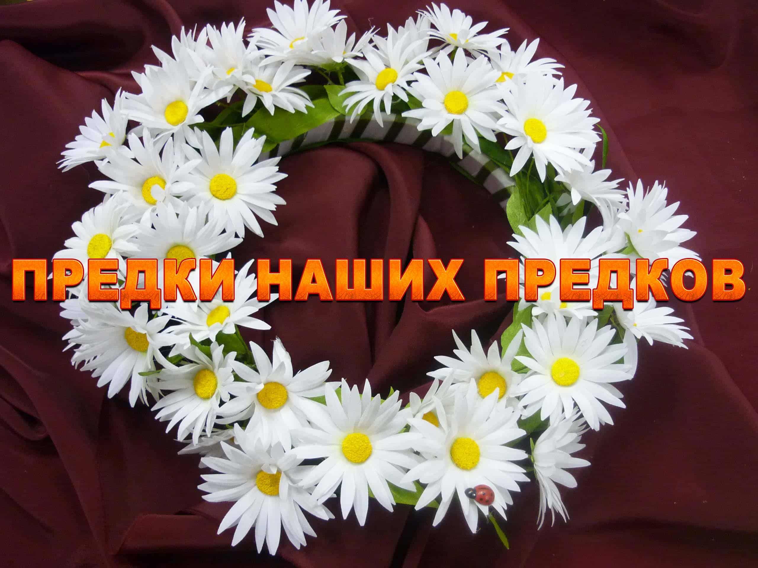 Предки-наших-предков-Маори-Связанные-одним-прошлым