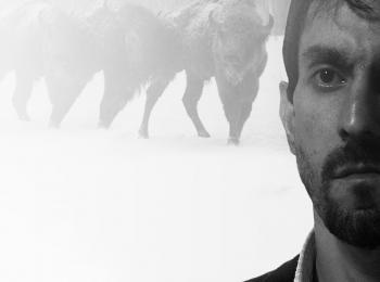 программа Русский иллюзион: Презумпция согласия