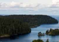 программа Russian Travel Guide (RTG): Природа Валаамского архипелага Весна