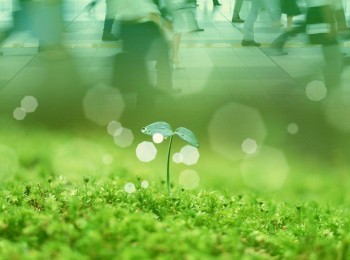 Про-экологию-Раздельный-сбор-мусора