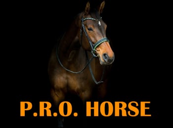 PRO-HORSE-Подковы