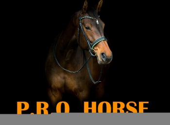 PRO-HORSE-Психология-лошадей:-Часть-2