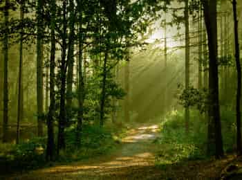 Пройти-сто-дорог-Белгород:-Часть-3