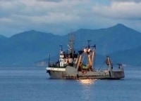 программа Russian Travel Guide (RTG): Промысловый лов тихоокеанского минтая