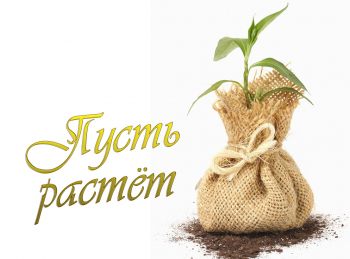 программа Усадьба: Пусть растет 7 серия