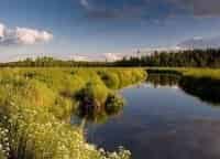 программа Russian Travel Guide (RTG): Путешествие по Валдайскому краю