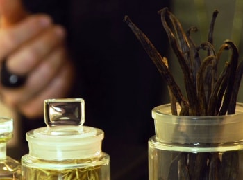 программа TV5: Quand le parfum dit non au genre