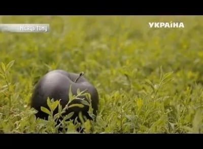Реальная-мистика-Яблоко-раздора