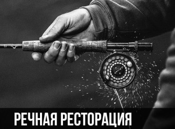 Речная-ресторация-Жареная-горная-форель-с-соусом-из-фенхеля
