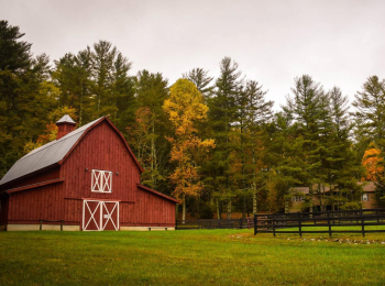 программа Discovery: Ремонт на ферме Лошадиная ферма