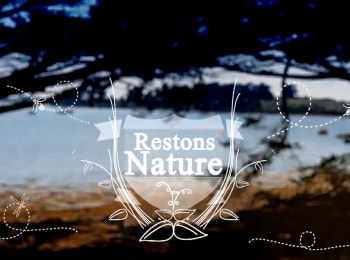 Restons-nature