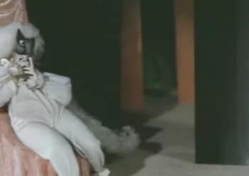 Рикэ-хохолок