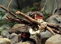 программа Карапуз ТВ: Робинзон Крузо: Предводитель пиратов