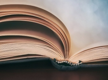 Родное-слово