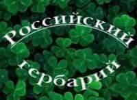 Российский-гербарий-Картошка