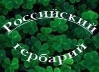 Российский-гербарий-Мировое-древо