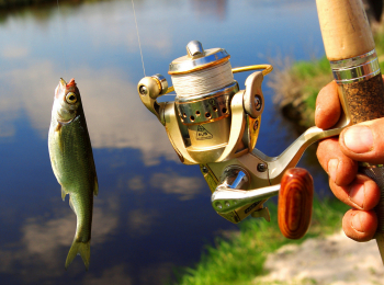 программа Охота: Рыбалка в Абхазии 5 серия