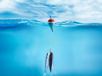 программа Охота: Рыбалка в Беларуси 2 серия