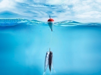 программа Охота: Рыбалка в Беларуси 8 серия