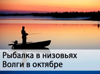 программа Russian Travel Guide (RTG): Рыбалка в низовьях Волги в октябре