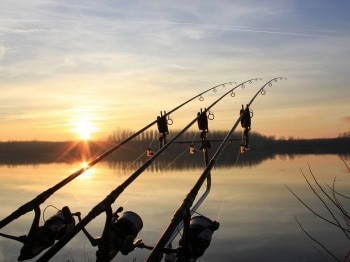 программа Охота: Рыболовная школа для взрослых 9 серия