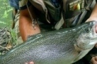 С-удочкой-по-Азербайджану-Гобустанский-заповедник