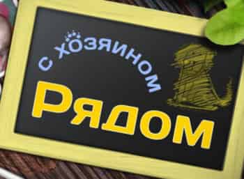 программа Теледом: С хозяином рядом