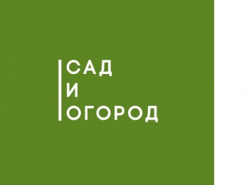 Сад-и-огород-Собираем-абрикосы,-подкармливаем-томаты
