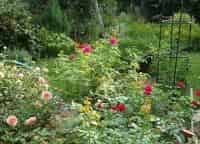 Сад-мечты-19-серия