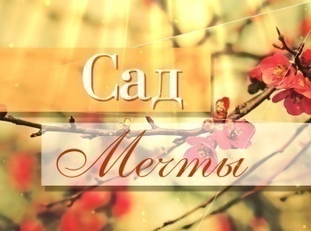 Сад-мечты-Удобрения-для-кислой-почвы-Хвойные,-гортензии,-голубика