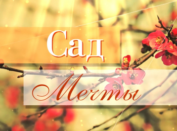 программа Загородная жизнь: Сад мечты Весенняя обрезка сада