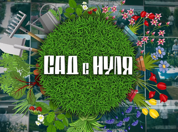 программа Усадьба: Сад с нуля 12 серия