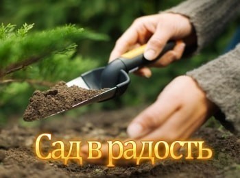 программа Усадьба: Сад в радость 15 серия