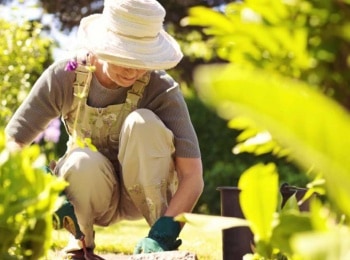 программа Усадьба: Садовый доктор 15 серия