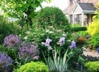 программа Усадьба: Садовый доктор 8 серия