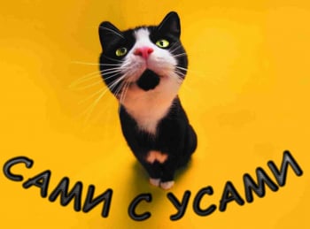 Сами-с-усами-Выращивание-картофеля