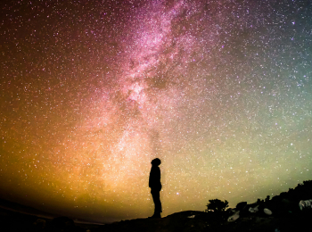 программа Первый вегетарианский: Самопознание с астрологом Еленой Пановой 1 серия