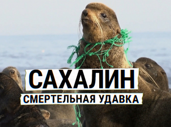 Сахалин-Смертельная-удавка